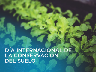 dia-internacional-conservación-del-suelo