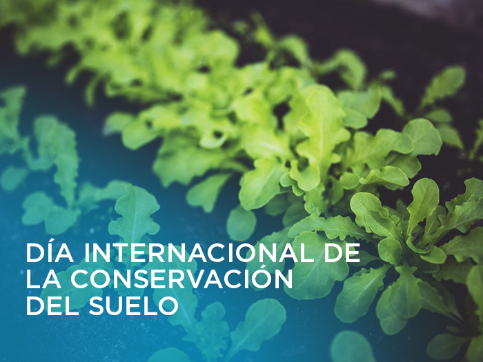 dia-internacional-conservación-del-suelo