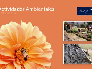 habitat-madrid-2018-art