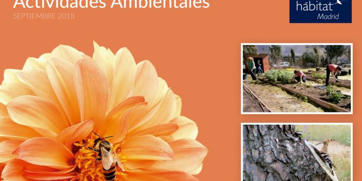 habitat-madrid-2018-art