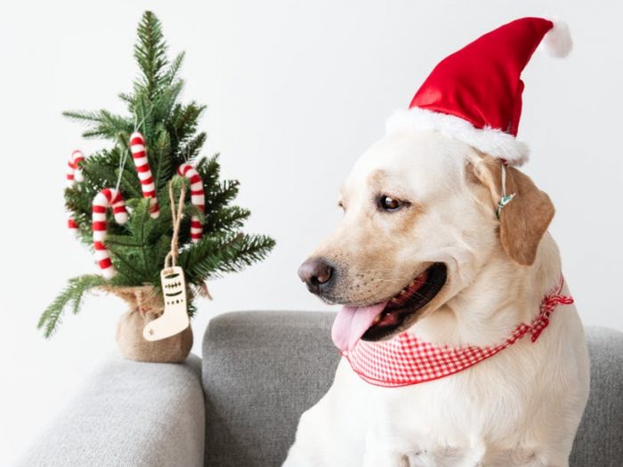 pexels-photo-1660970