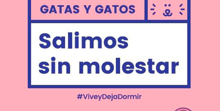 salimos sin molestar 2019