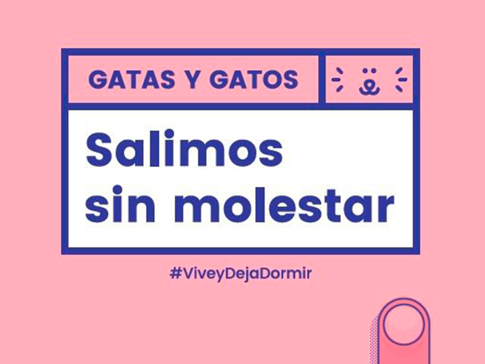 salimos sin molestar 2019