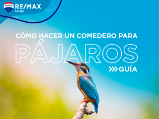 cómo hacer un comedero para pájaros